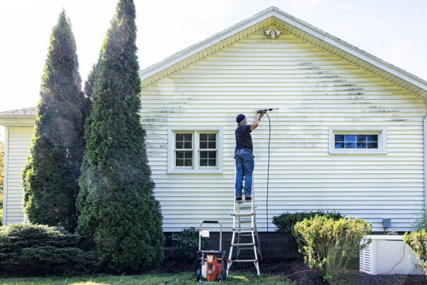 Best Gutter Cleaning in South Elgin, IL